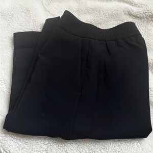 Wilfred Aritzia Alanya pants in size 2 tall.